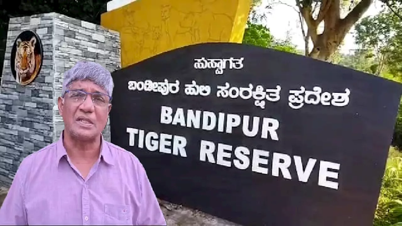 Bandipura Forest: ಡಿಸಿಎಂ ಡಿ.ಕೆ.ಶಿವಕುಮಾರ್‌ ಹೇಳಿಕೆಗೆ ಪರಿಸರವಾದಿಗಳ ಆಕ್ಷೇಪ