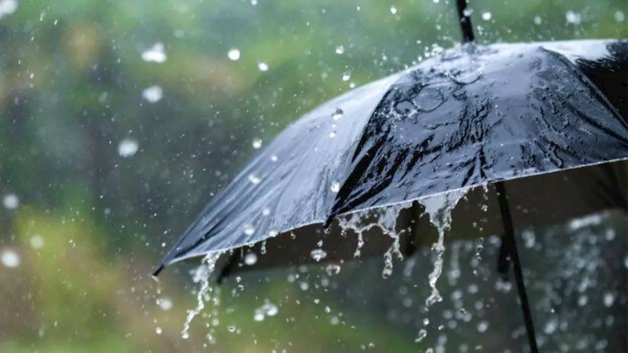 Kerala Rain Alert: ഇടിമിന്നലോടെ മഴയ്ക്ക് സാധ്യത; സംസ്ഥാനത്ത് വരും ദിവസങ്ങളിൽ ജാ​ഗ്രത, യെല്ലോ അലർട്ട് ഈ ജില്ലകളിൽ