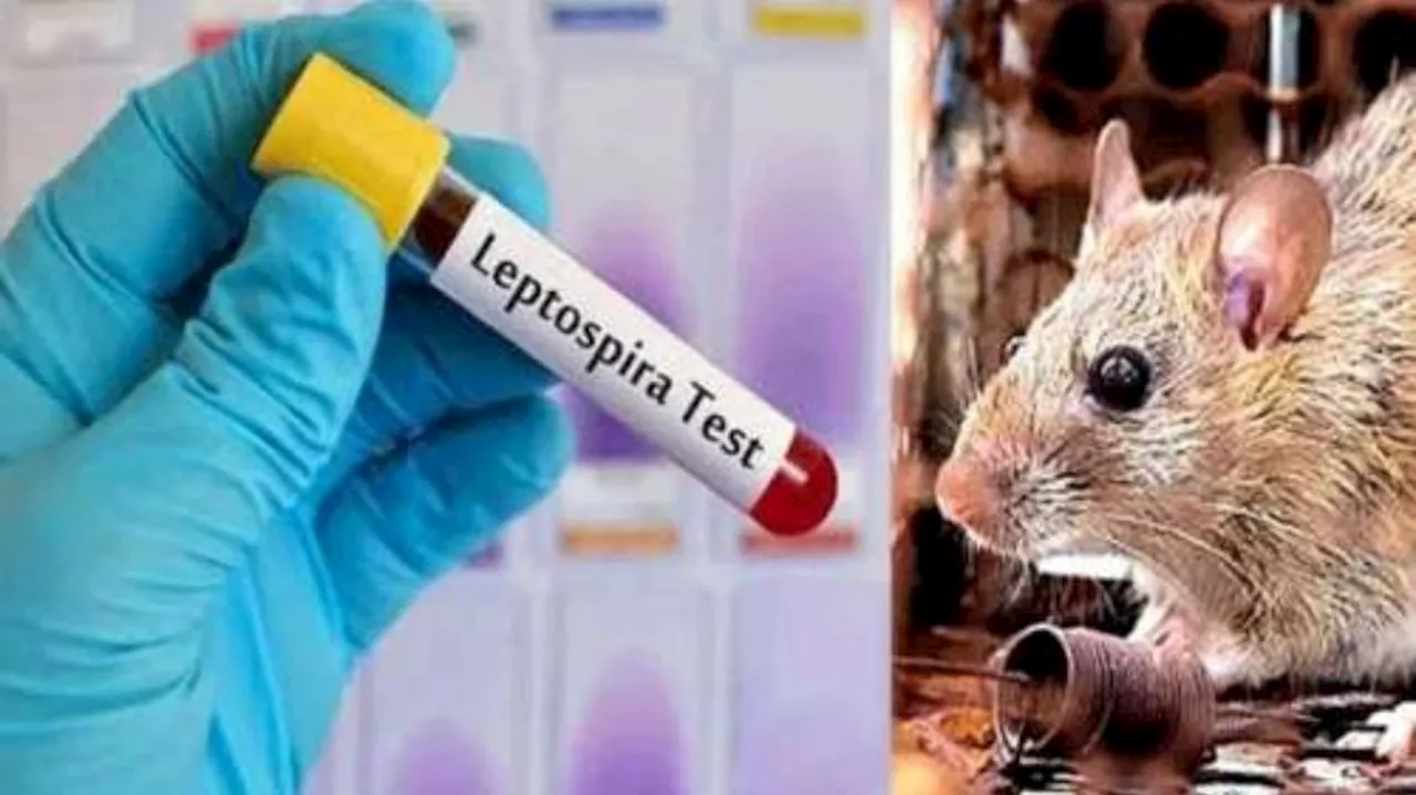 Leptospirosis: തിരുവനന്തപുരത്ത് എലിപ്പനി ബാധിച്ച് അസം സ്വദേശി മരിച്ചു