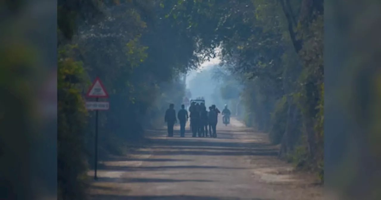 Rajasthan Weather Update: राजस्थान में तेजी से गिर रहा तापमान, जयपुर से लेकर उदयपुर के लोग झेलेंगे ठंड की मार, पढ़ें वेदर अपडेट