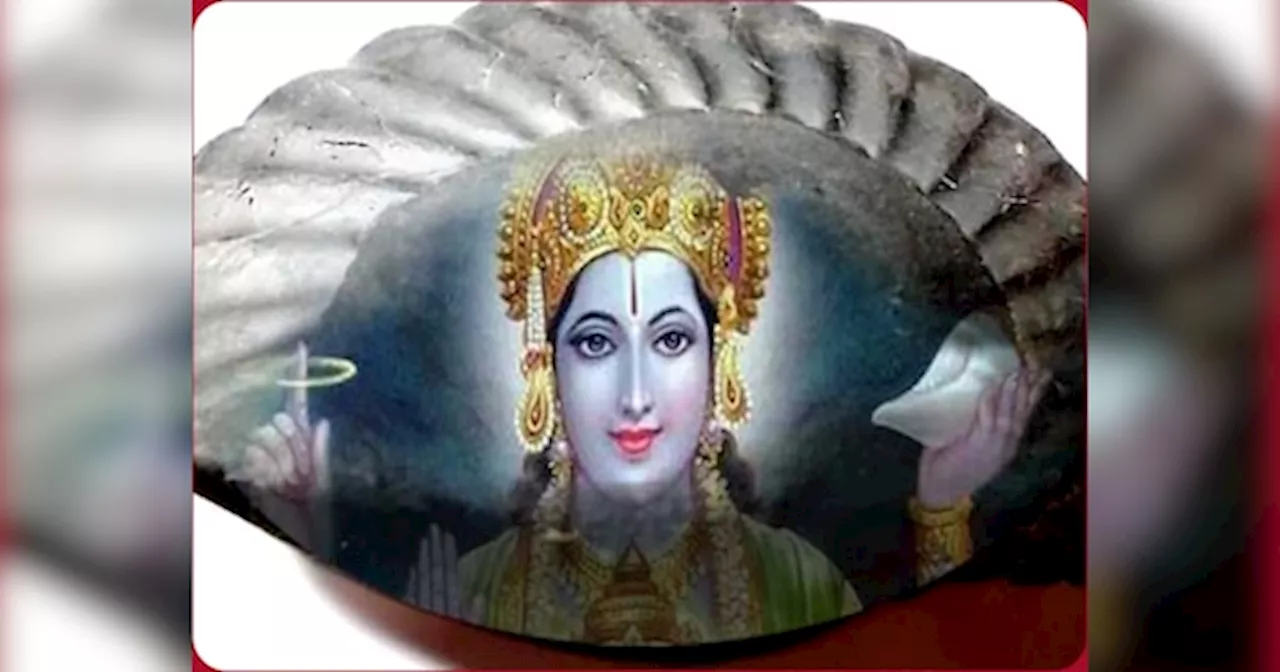 Shaligram Ji Ki Aarti: शालिग्राम भगवान की आरती का करें पाठ, धन और संतान से भर देंगे घर