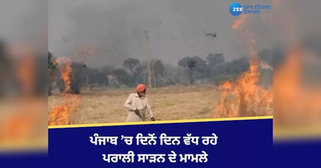 Stubble Burning: ਪੰਜਾਬ ਵਿੱਚ ਖੇਤਾਂ ਵਿੱਚ ਅੱਗ ਲੱਗਣ ਦੇ ਮਾਮਲੇ 7,000 ਦੇ ਪਾਰ, ਜਾਣੋ ਜ਼ਿਲ੍ਹਿਆਂ ਦਾ AQI