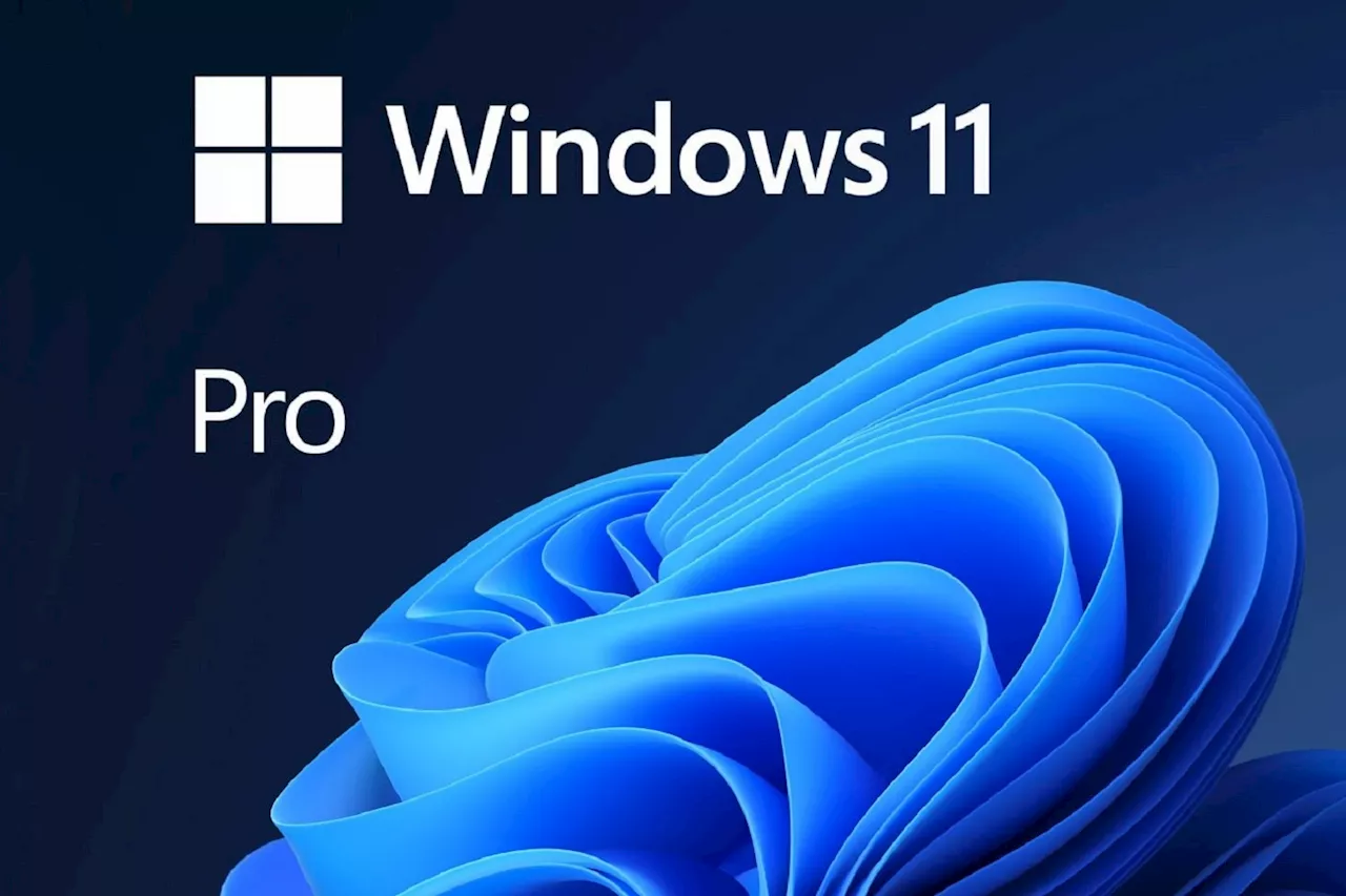 Avec cette astuce simple et 100% légale, Windows 11 Pro est quasi-gratuit avant Black Friday