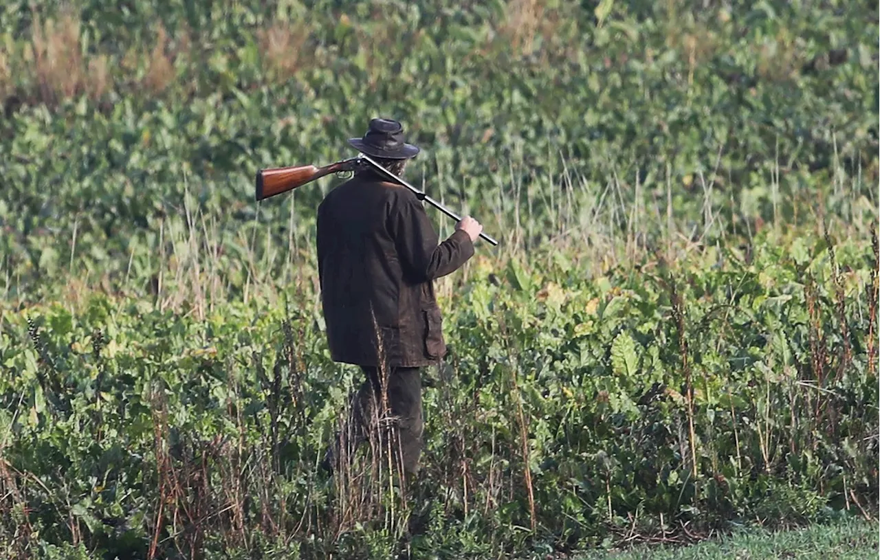 Pyrénées-Atlantiques : Un chasseur de 61 ans meurt après avoir chuté d’une palombière