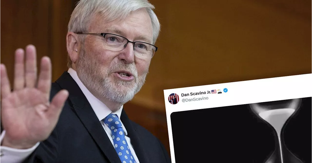 Senior Liberal calls for Rudd to be sacked after Trump advisor suggests US ambassador is on thin ice