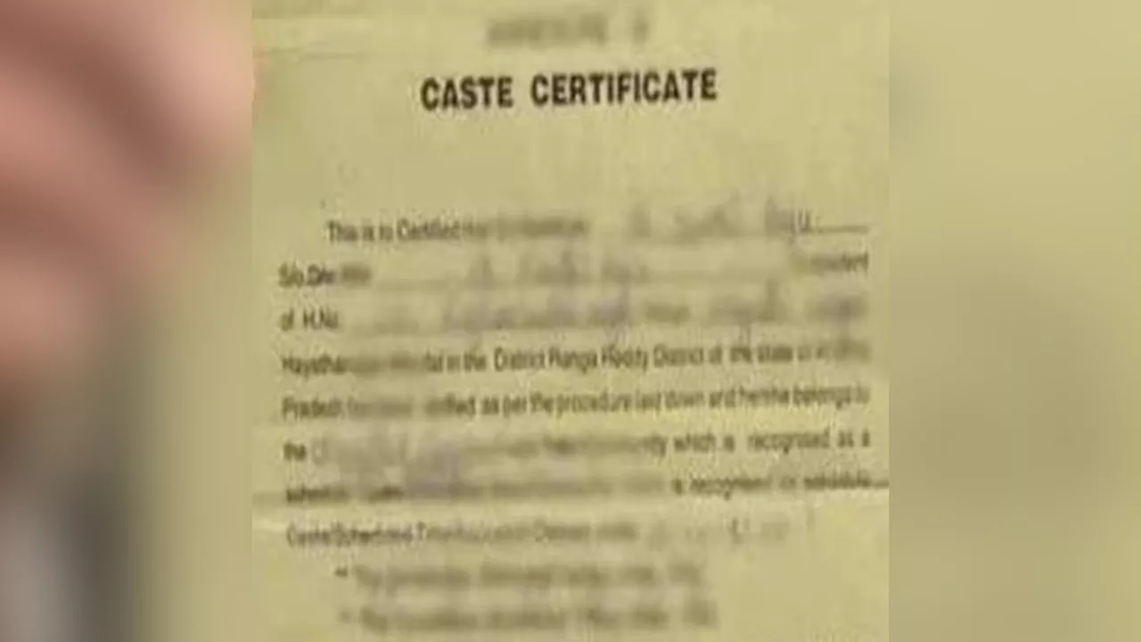 नवोदय में OBC और MBBS में एडमिशन के लिए SC सर्टिफिकेट... कोर्ट ने भदोही के स्टूडेंट को सुनाई 7 साल की सजा, लगाया जुर्माना