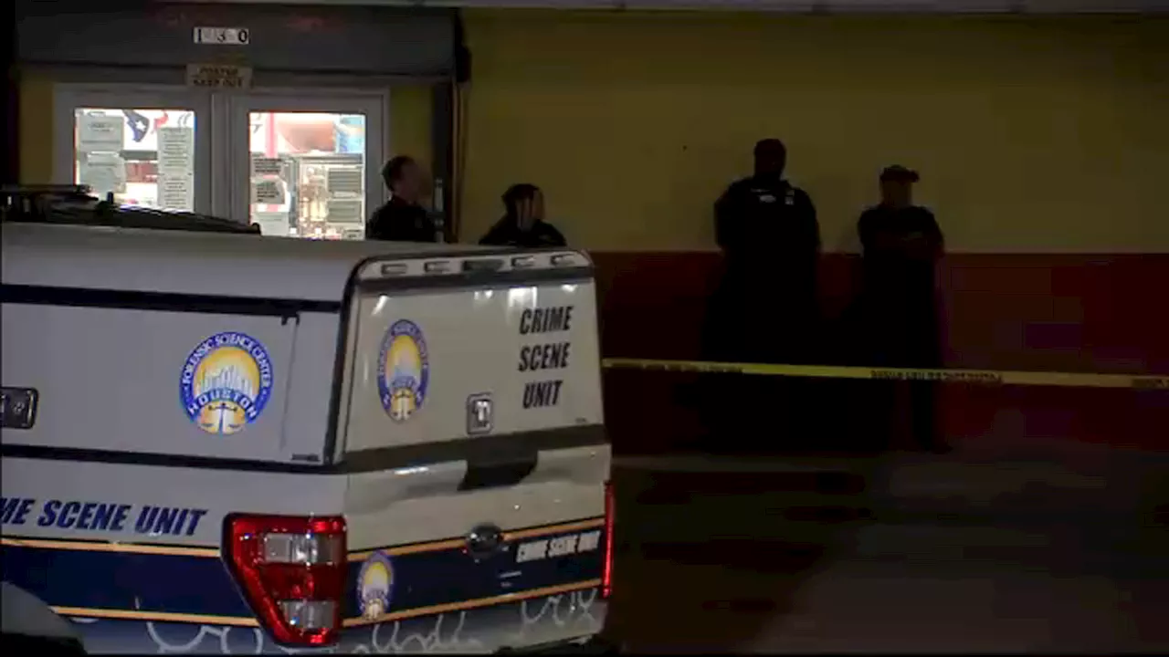 HPD investigating 29-year-old woman found shot to death inside business in SW Houston