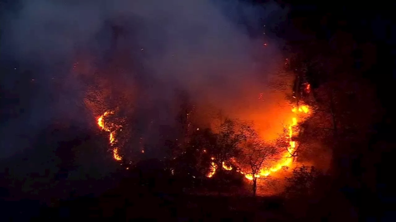 FDNY battling brush fire in Inwood Hill Park in Manhattan