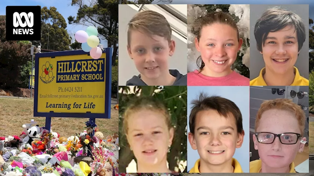 Expert says Hillcrest jumping castle tragedy may still have occurred with all eight tethers, but operator still should have sought advice