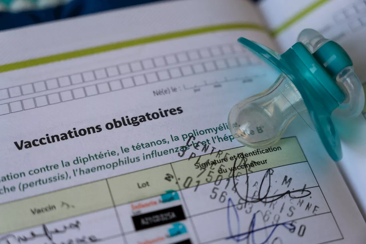 Le carnet de santé va (encore) être modifié en janvier 2025, voici ce qui va changer