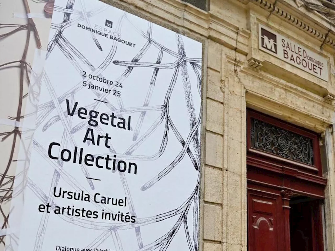 Montpellier : deux rendez-vous autour de l'exposition 'Vegetal Art Collection'