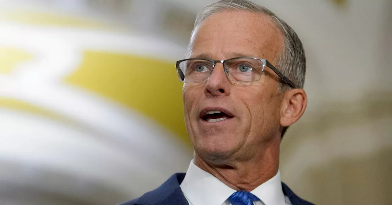 John Thune of South Dakota elected Senate majority leader, replacing McConnell