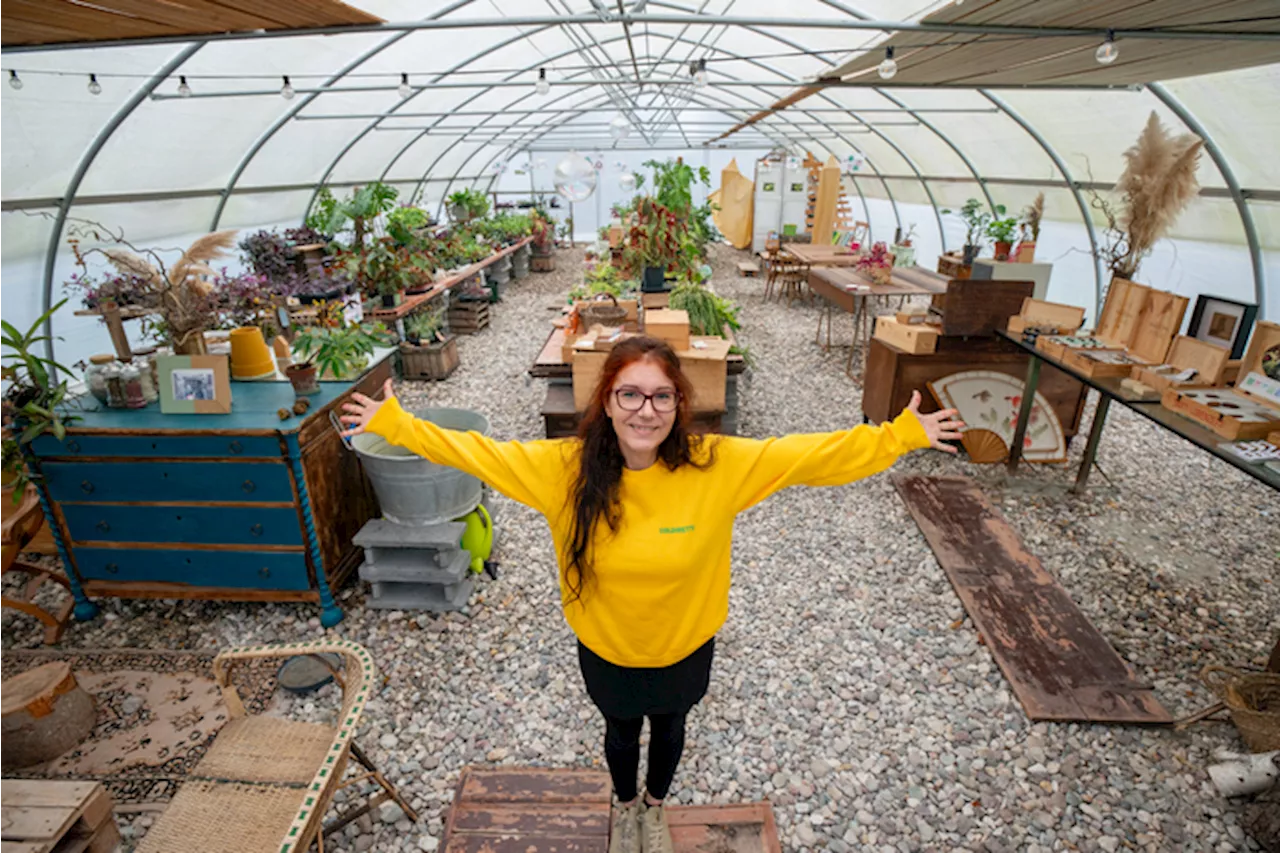 Dalla serra zen all'accoglienza ai migranti all'agrigelateria, storie di innovazione e resilienza