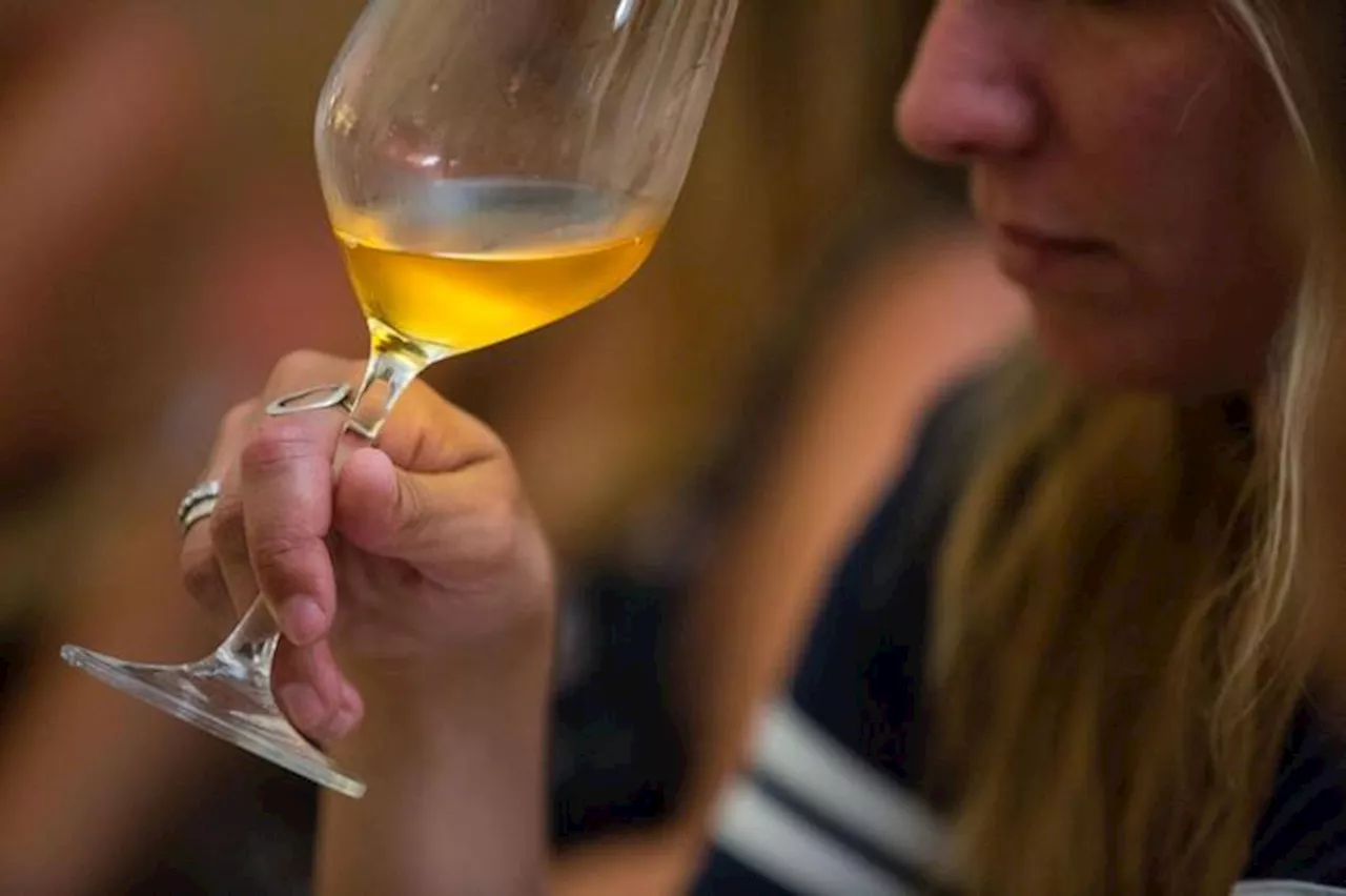 Uiv, tra abitudini e difficoltà italiani non rinunciano al vino