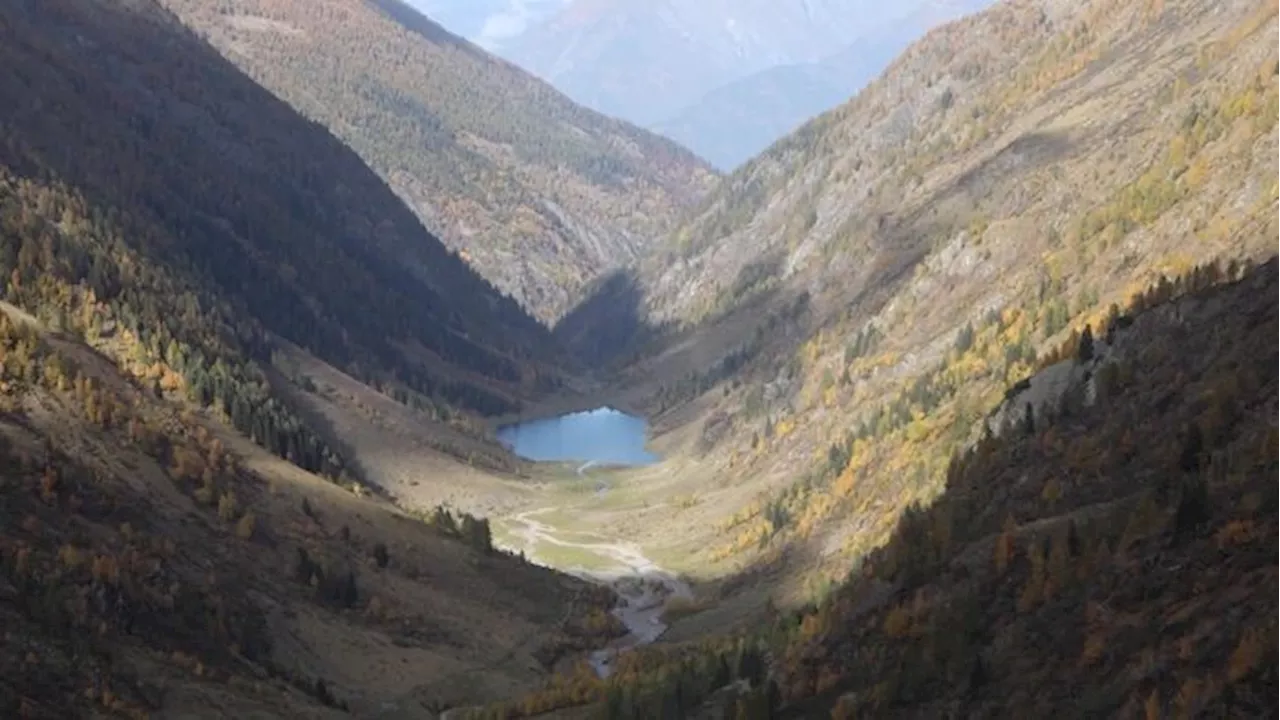 Valtellina, scoperto un ecosistema preistorico fossile