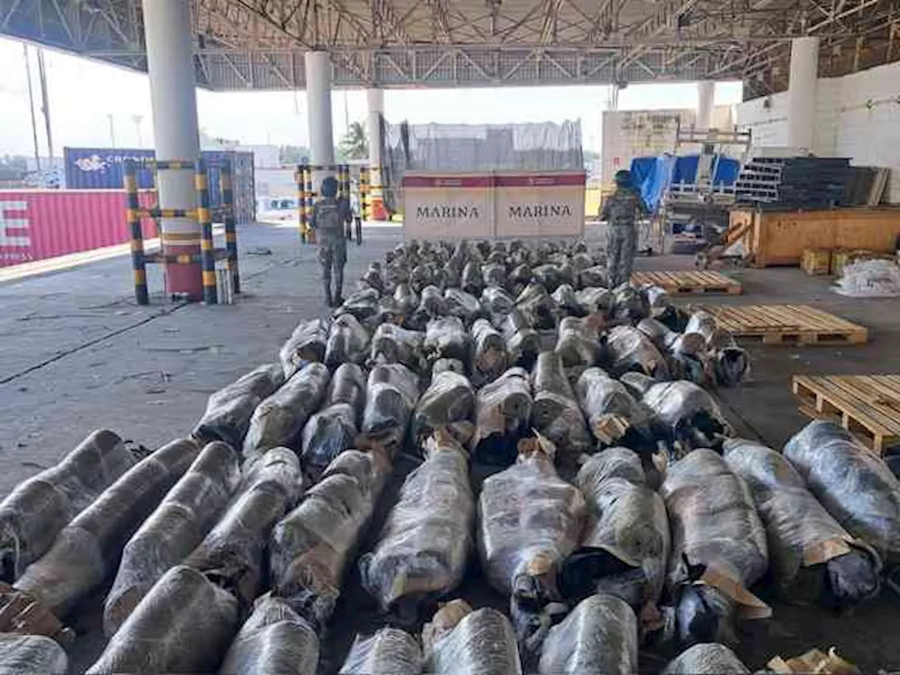 Decomisan más de 750 kilogramos de mariguana en el puerto de Veracruz