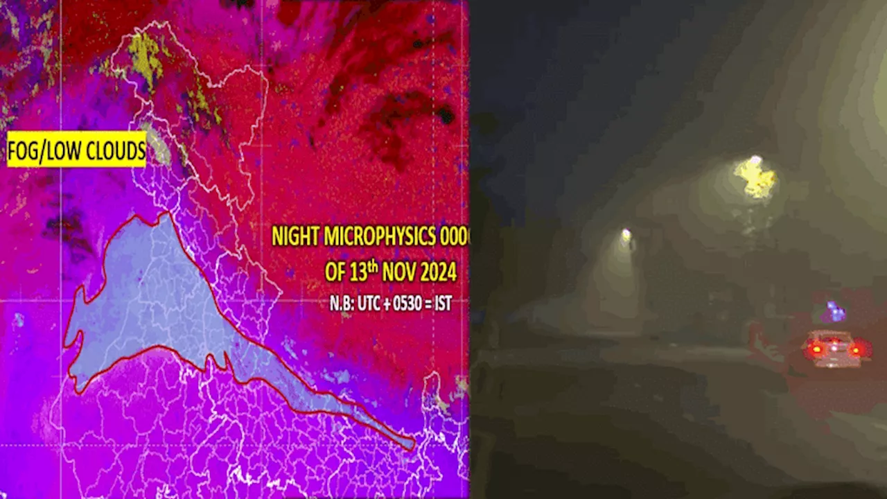 सीजन का पहला कोहरा: NCR समेत उत्तर भारत में छाई धुंध, दिल्ली में विजिबिलिटी 100 मीटर, अन्य इलाकों में भी असर