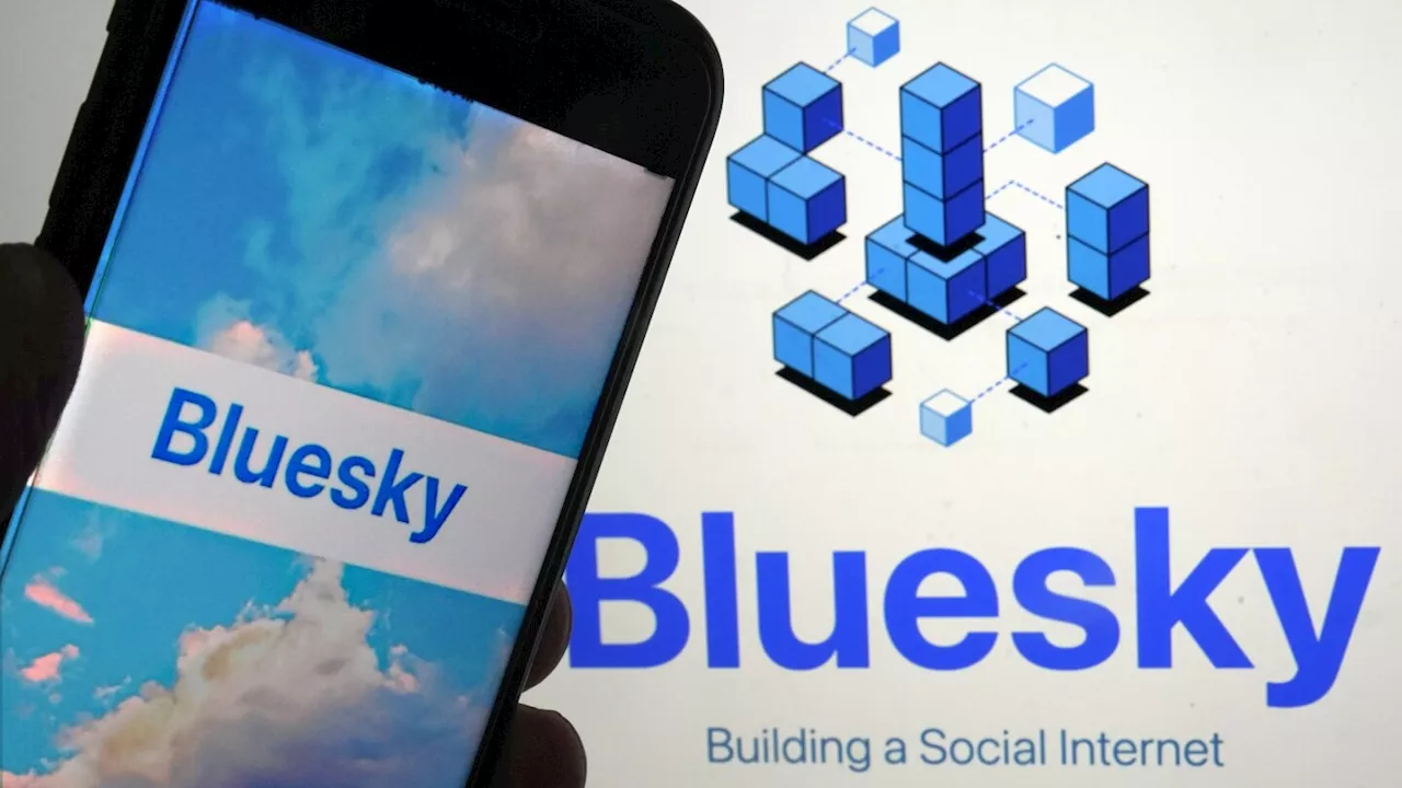 Bluesky gains 1 million new users after US election