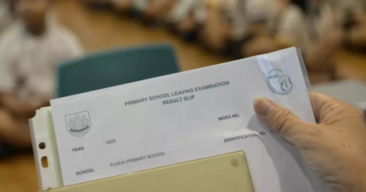 PSLE results to be out on Nov 20