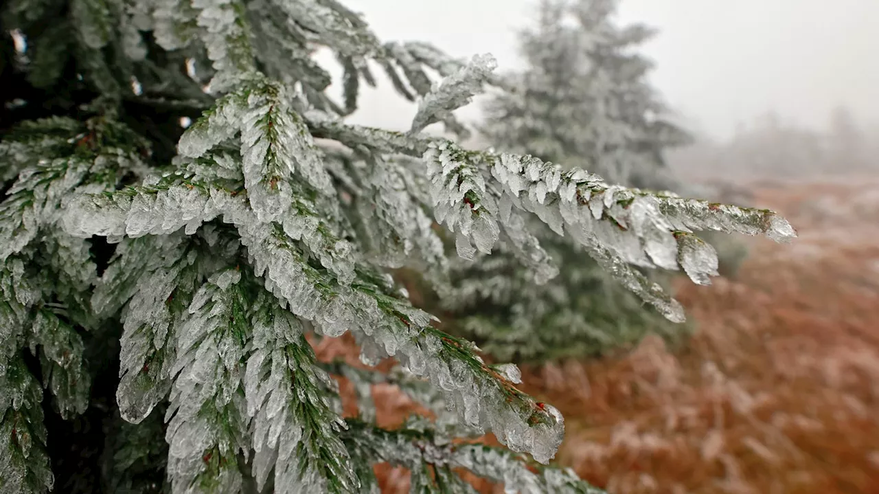 Wetter in Bayern: Etwas Schnee – dann wieder Nebel und Sonne