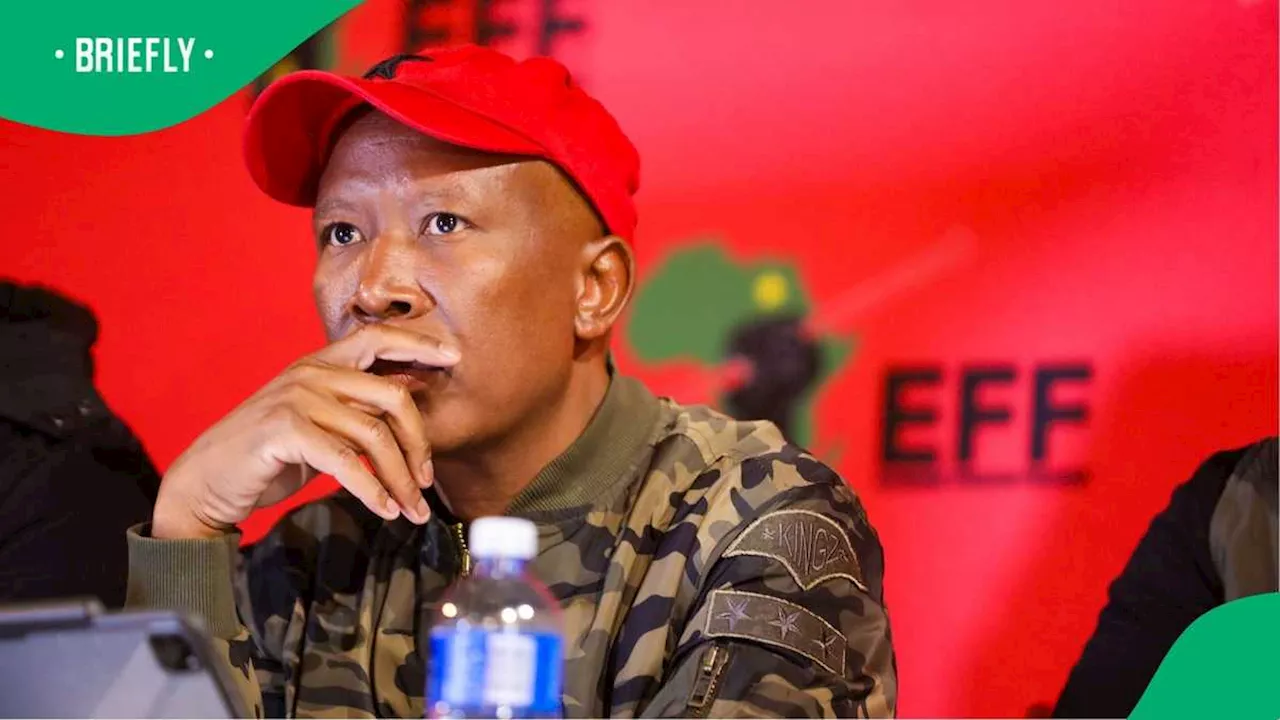 Julius Malema Questions EFF Members’ Loyalty, Asks Why They Kept Floyd Shivambu’s Departure a Secret