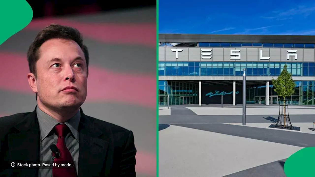 Tesla Model Y Crash Claims Four Lives As Electronic Doors Fail, Netizens React: “Sue Elon Musk”