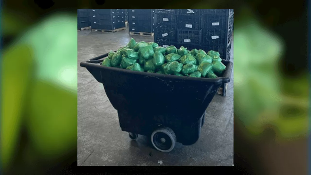 $31 million in meth hidden in serrano peppers seized at border