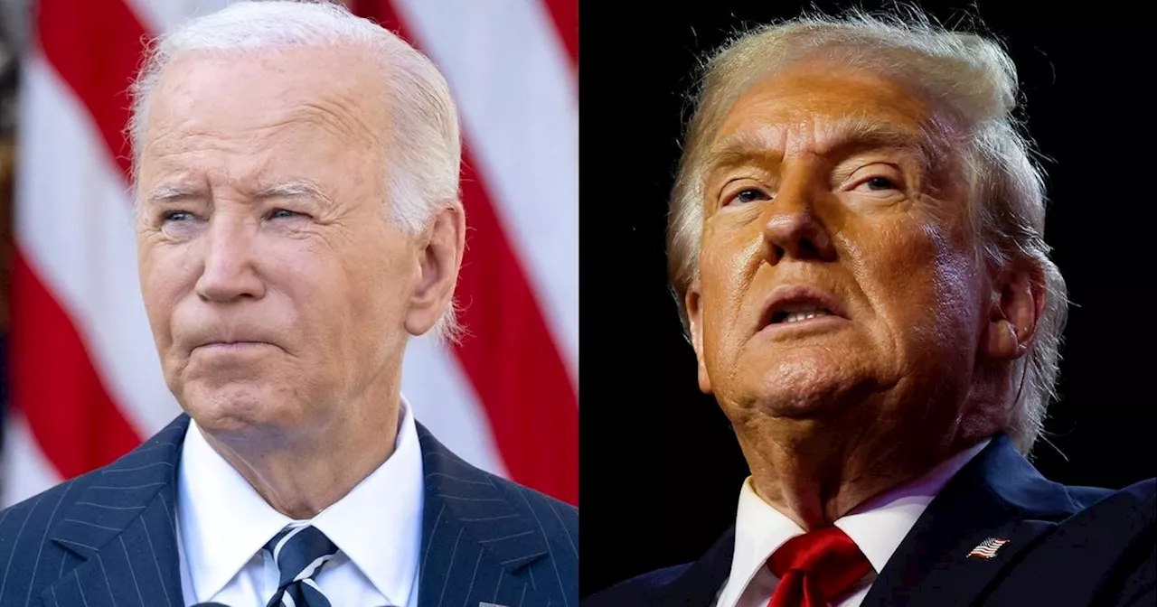 Watch Trump and Biden meeting at White House today