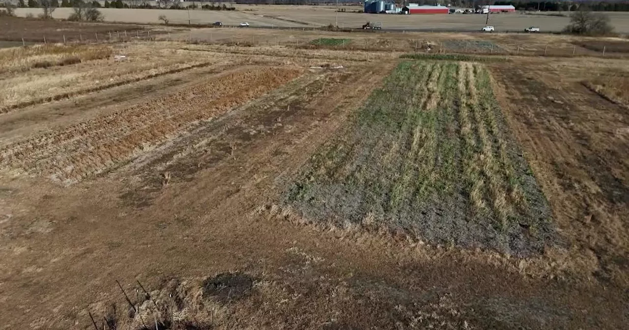 New Jersey officials considering declaring drought warning as dry conditions continue