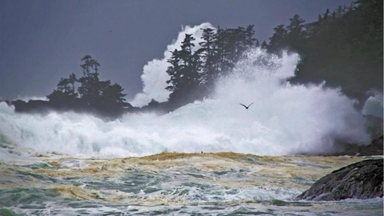 High winds cut power to thousands on B.C. coast and Vancouver Island