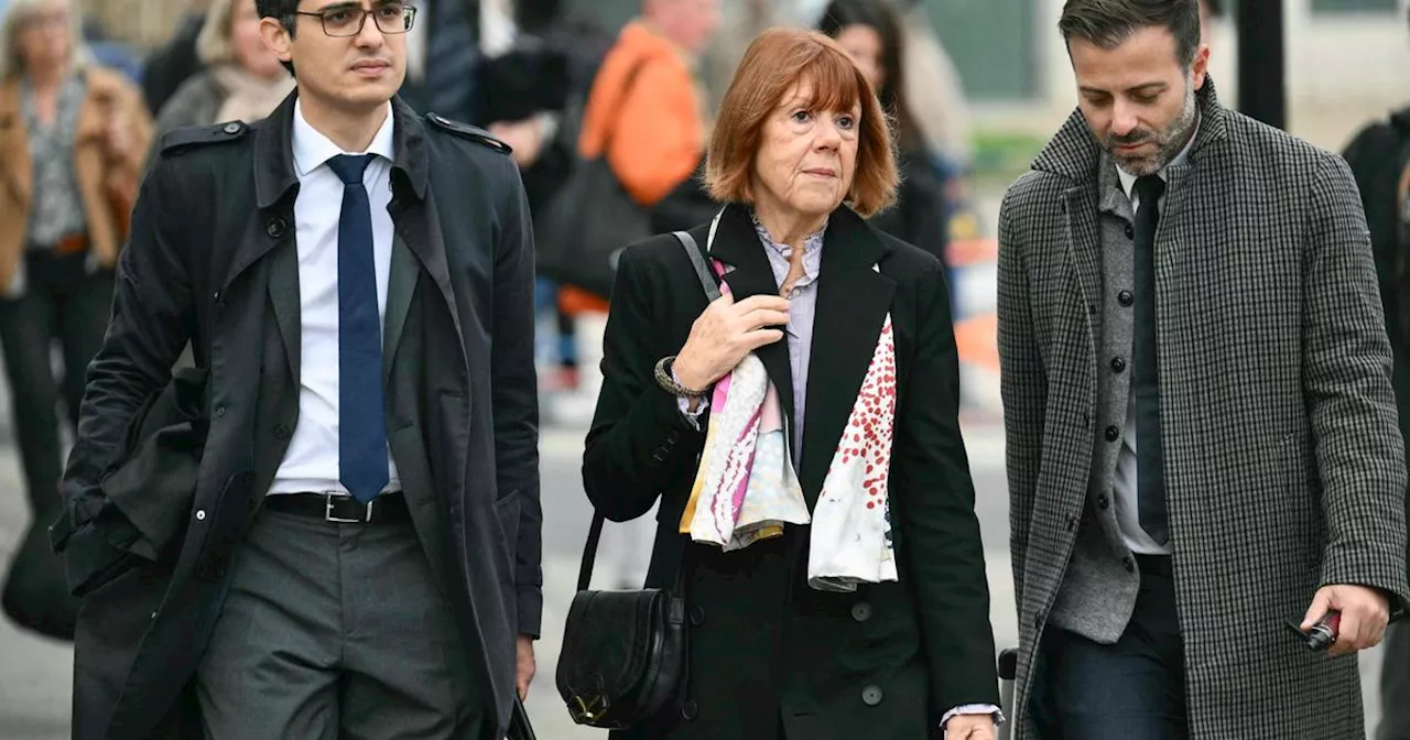 Pour ses avocats, Gisèle Pélicot “a déjà gagné son combat”