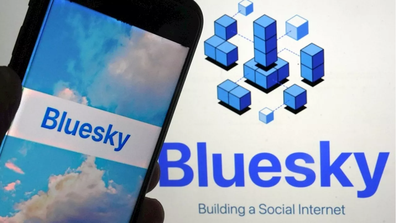 Bluesky has added one million users since the U.S. election as people seek alternatives to X