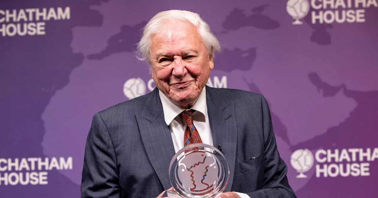 David Attenborough's diet changes as he aims to reach 100