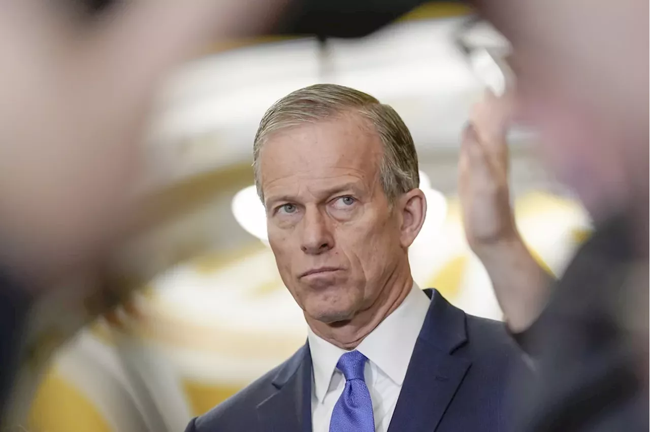 Thune’s Senate majority leadership splits GOP: ‘May he prove us wrong’