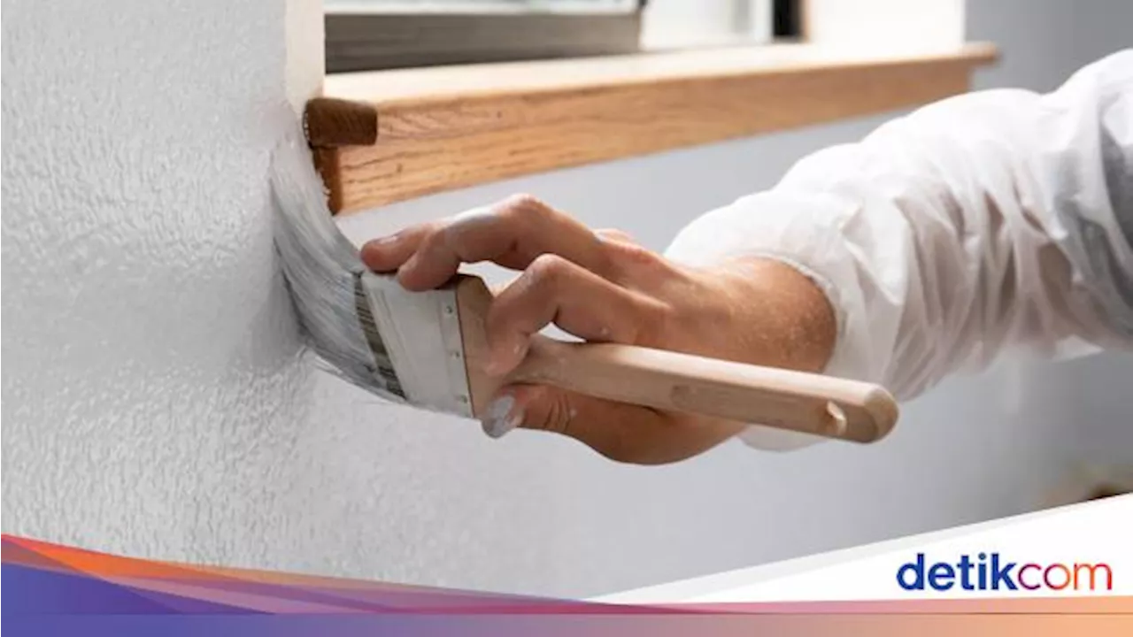 5 Fakta Temuan Bank Dunia soal 77% Cat di RI Mengandung Timbal