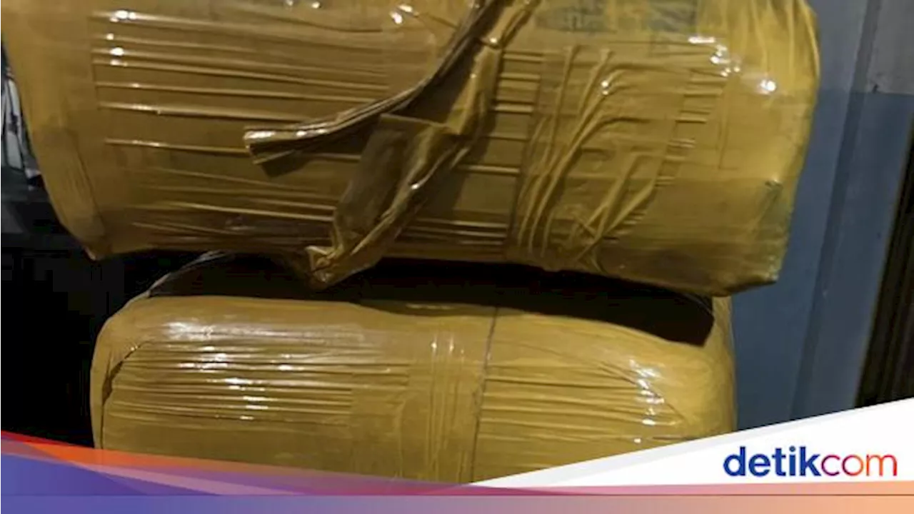 Penyelundupan 8 Kg Ganja Asal Medan Terungkap di Pelabuhan Bakauheni