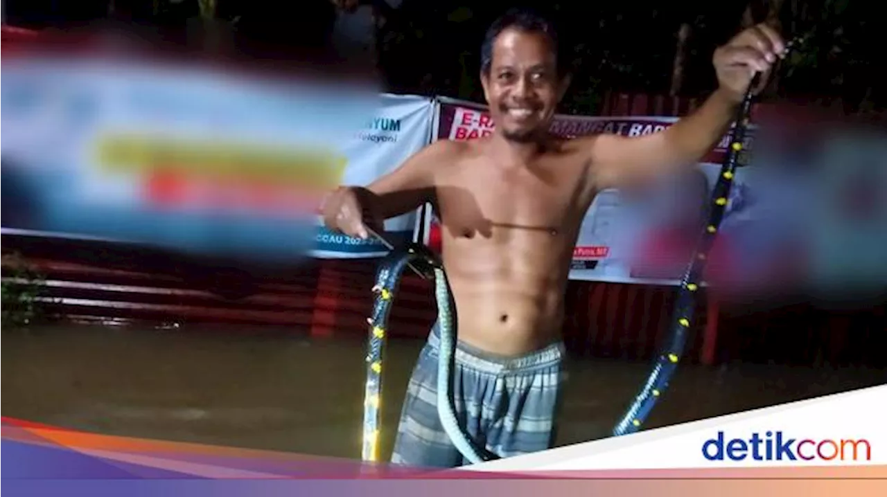 Ular-ular Bermunculan di Tengah Banjir Lubuklinggau