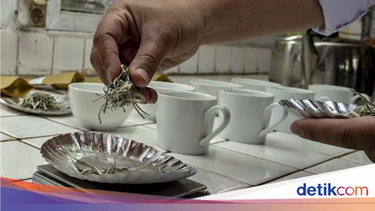 Begini Proses Produksi Teh Putih yang Harganya Rp 1 Juta/Kg