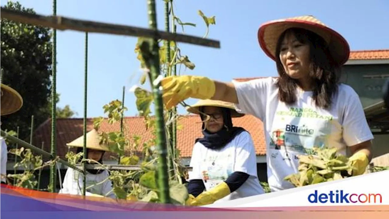 BRI Dukung Pemberdayaan Wanita Lewat Program Urban Farming