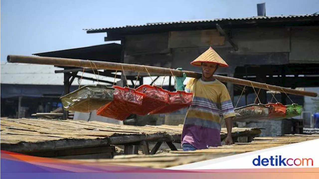 Pertamina Trans Kontinental Cari Cara Angkat Kesejahteraan Masyarakat Pesisir