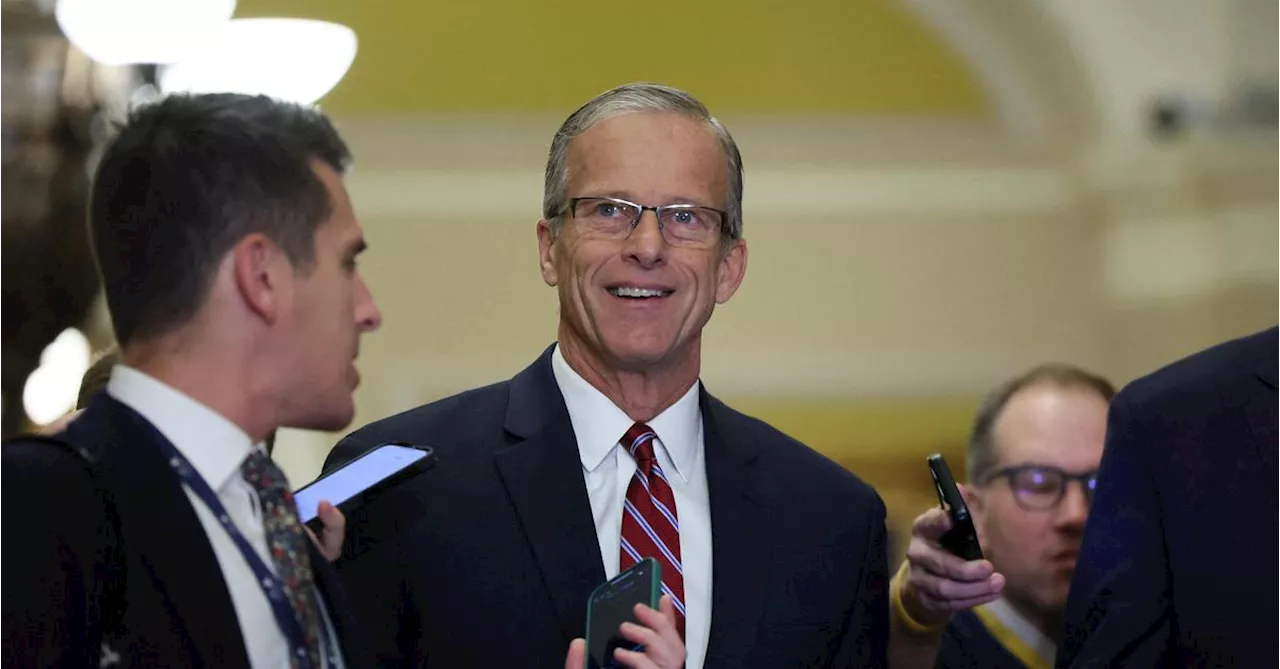 John Thune wird Vorsitzender der Republikaner im US-Senat