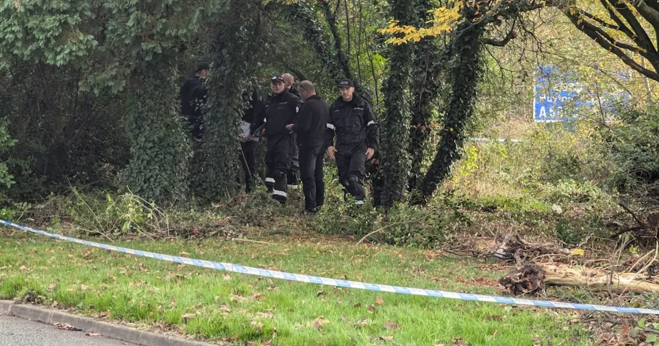 Cordon near M62 as police search bushes