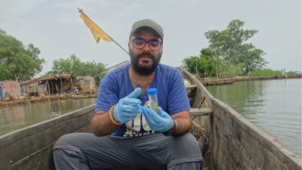 Universidade do Minho cria rede para monitorização de pescas