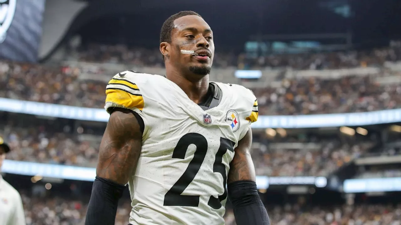 Mike McDaniel ignores former player calling Dolphins 'soft'