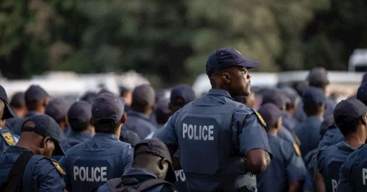 Mkhwanazi orders probe after video showing KZN cop assaulting civilian