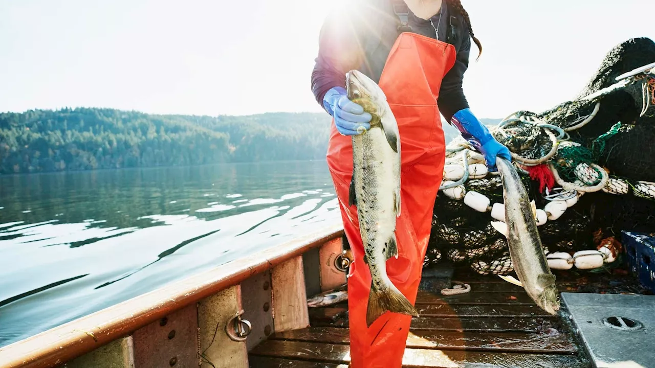 Sustainable Seafood: Innovation At The Source Of Origin