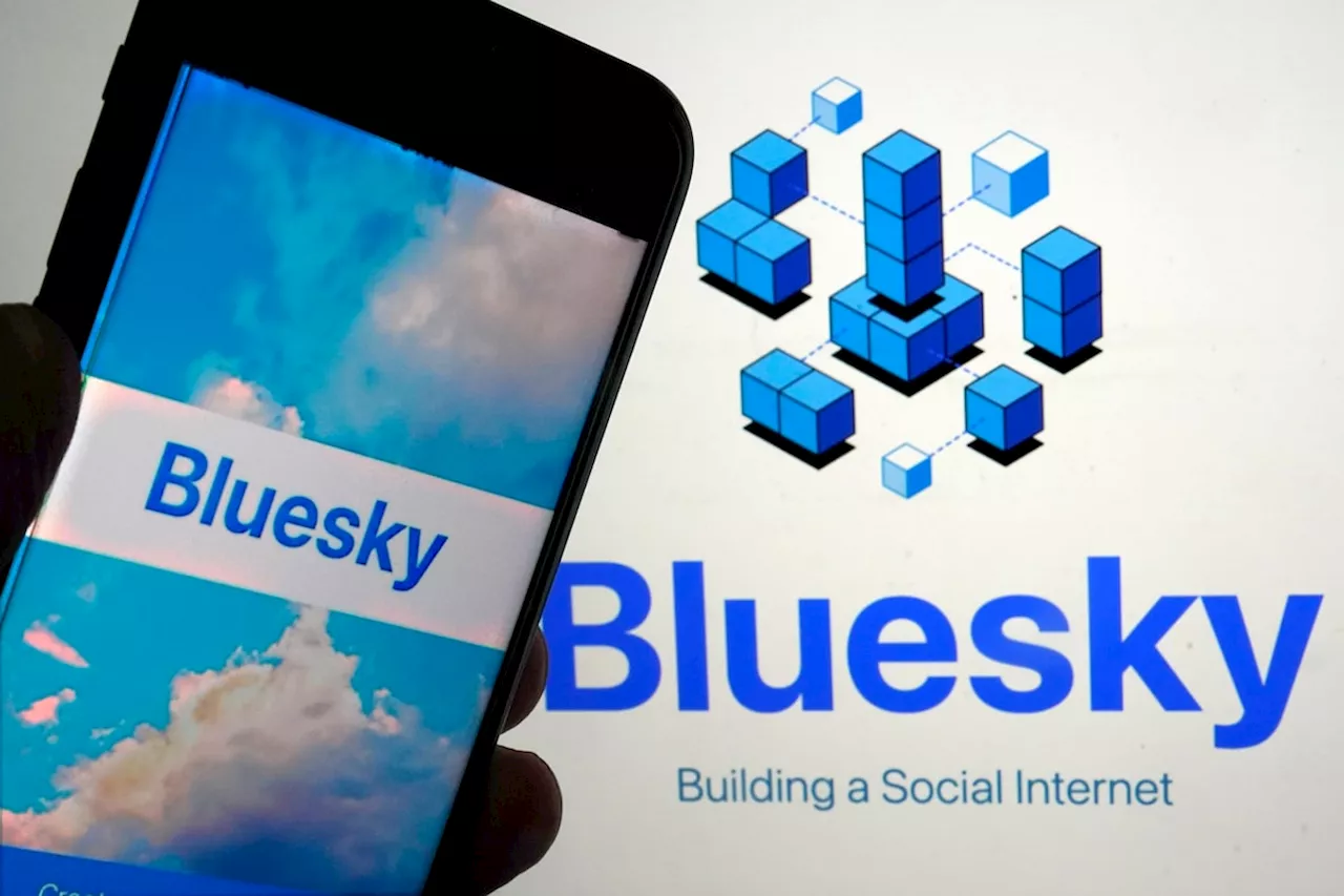 Bluesky has added one million users since U.S. election as people seek alternatives to X