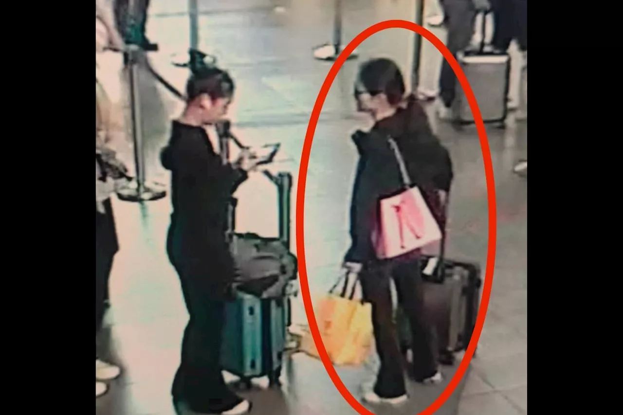 BI: Still no info on aircraft that flew Alice Guo to Malaysia