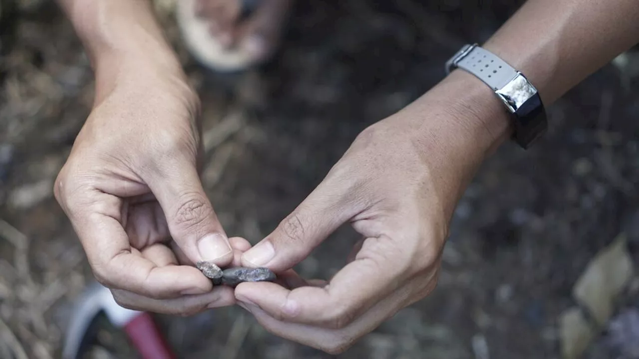 Soal Barang Impor, Belajarlah dari Kisah Peradaban Logam Kuno di Kalimantan