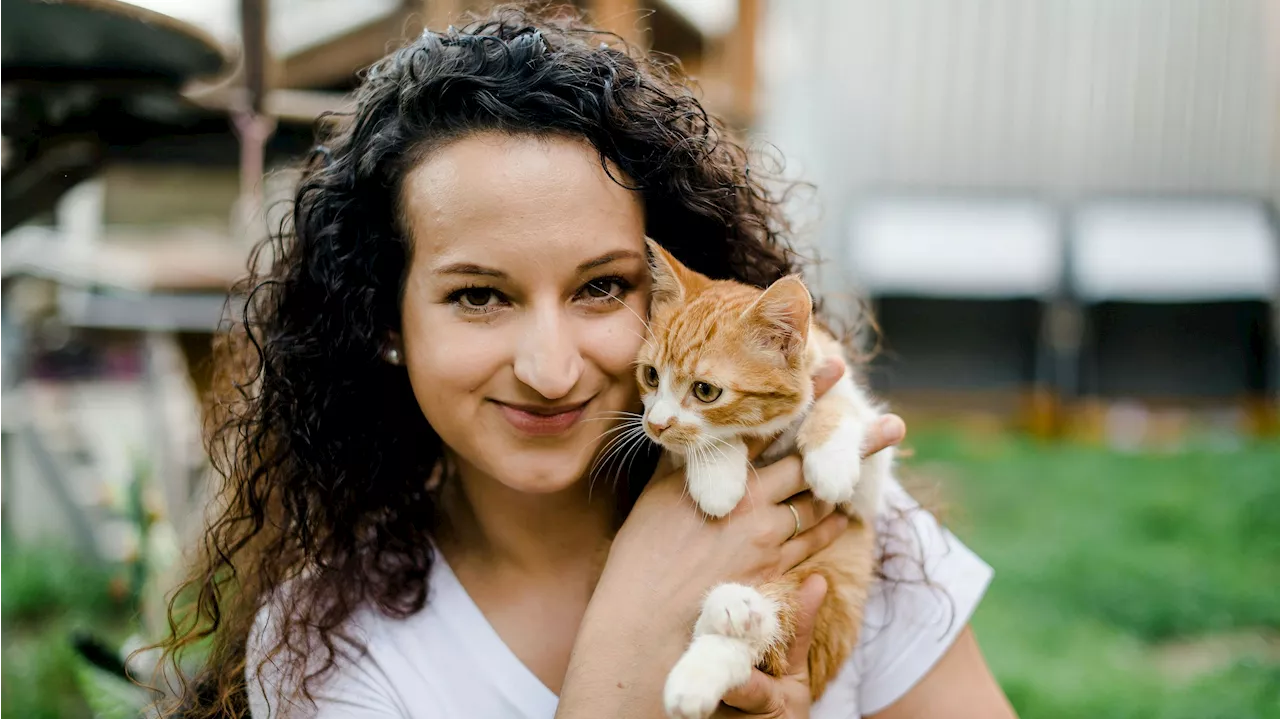  Behinderte Katzen brauchen jetzt Handwerker!